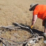 Mary works on compost pile