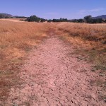 View North along ditch