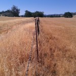 View South (ditch east of fence line)