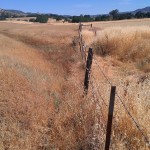 View North (ditch west of fence line)