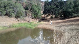 A man-made reservoir to capture rain water for wildlife and livestock in the dry season