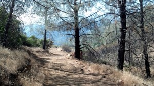 Miles of dirt roads throughout the hills