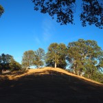 Sheep's Head Hill